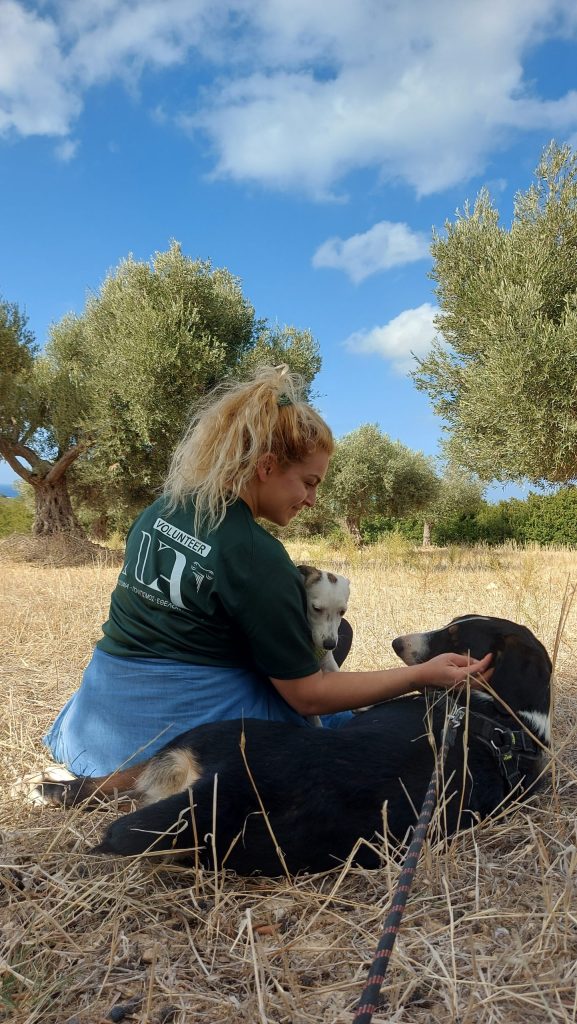 Επίσκεψη στο καταφύγιο σκύλων