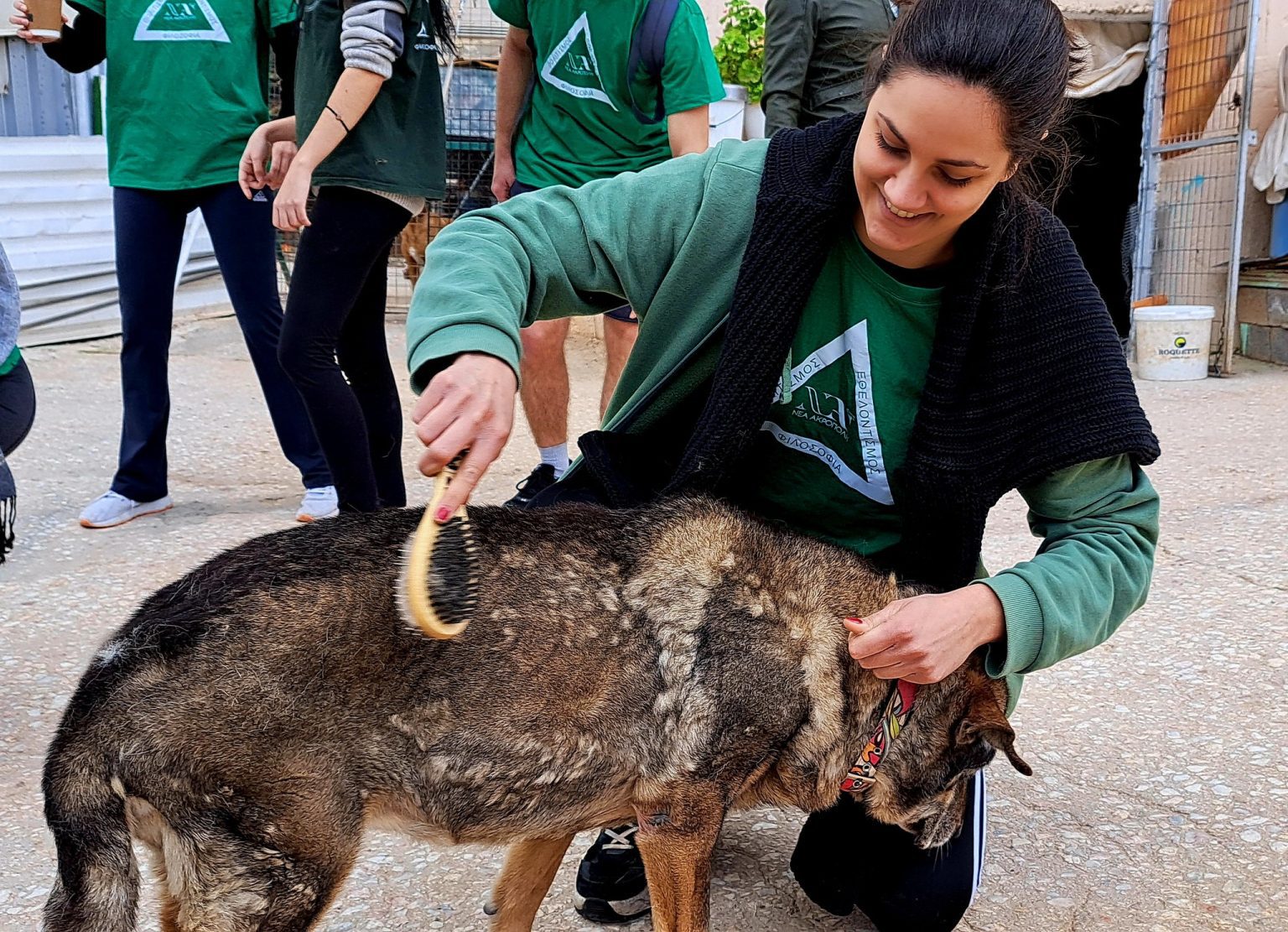 Νέα Ακρ'οπολη
Αθήνα
Φροντίδα Αδέσποτων